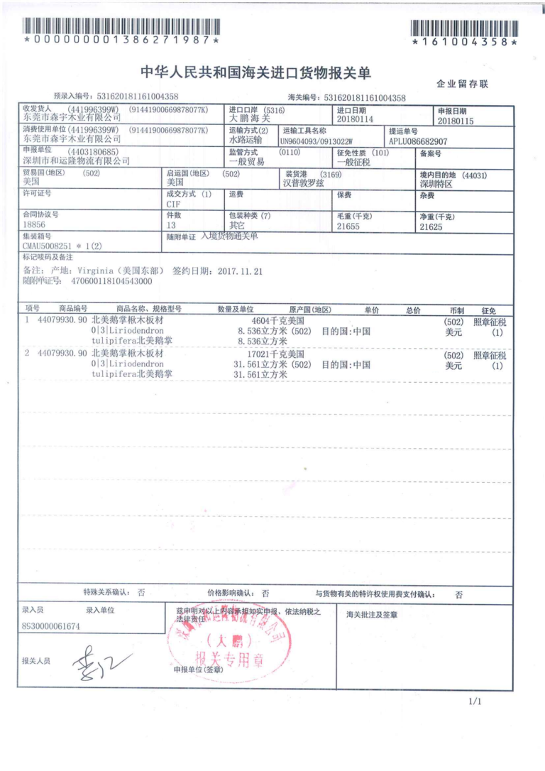 北美鹅掌楸木_01